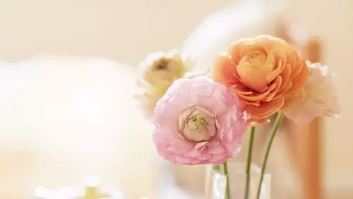 【送平板了！】不為什么，就是想感恩！