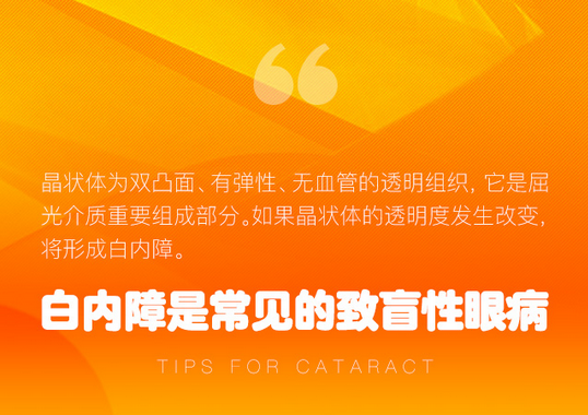 了解白內(nèi)障，這些數(shù)據(jù)需掌握！