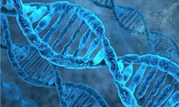 近視超過600度以上？這7條“錦囊”請收好！